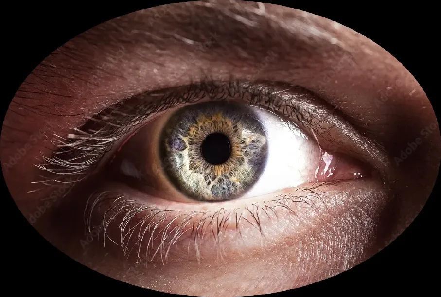 eye.webp